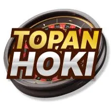 topanhoki APK Tycoon